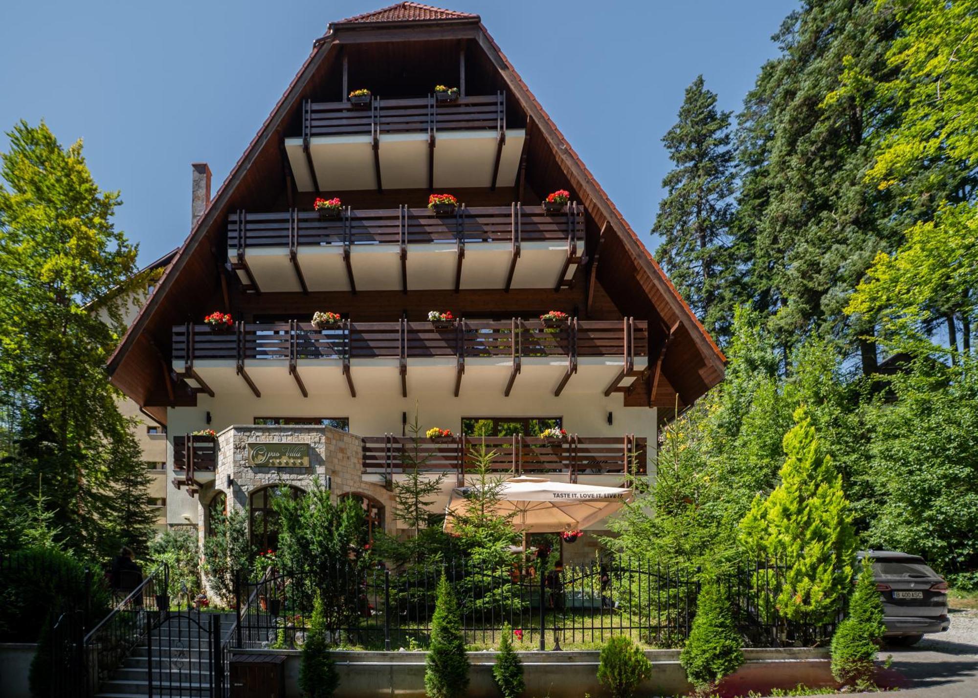 Opus Villa Sinaia Exterior foto The chalet in 2012