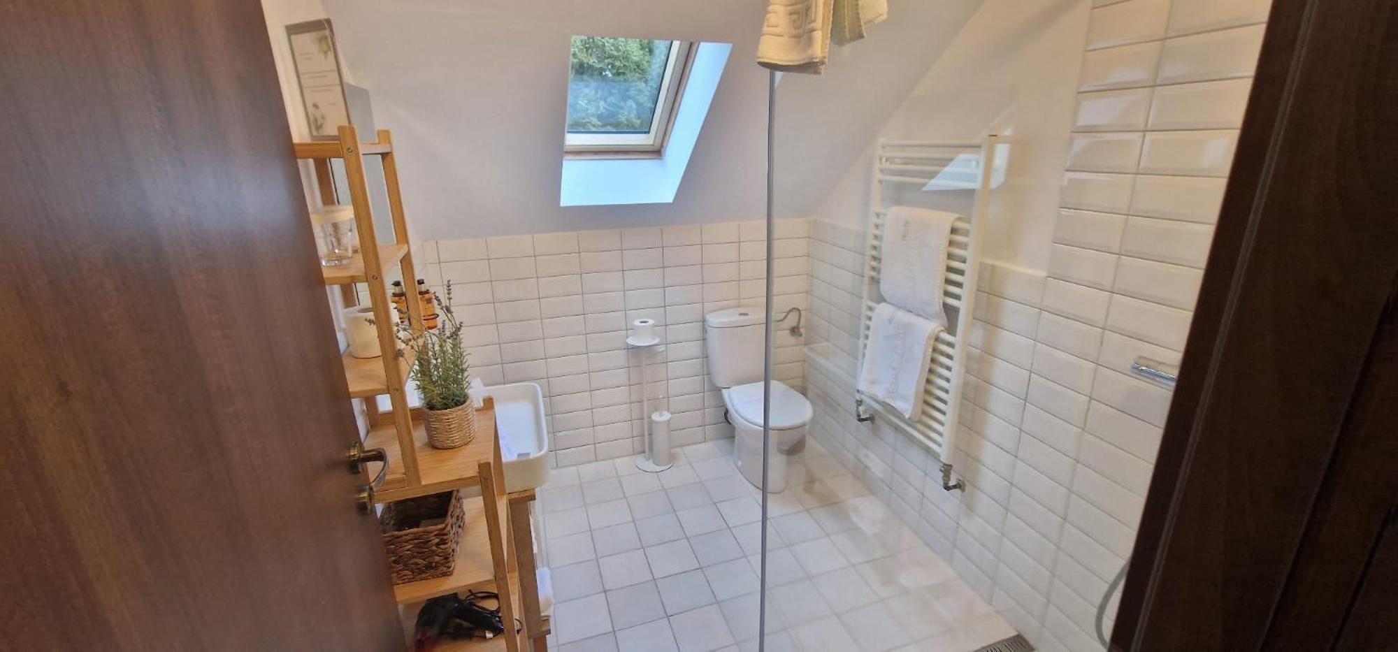 Opus Villa Sinaia Exterior foto Bathroom with a shower